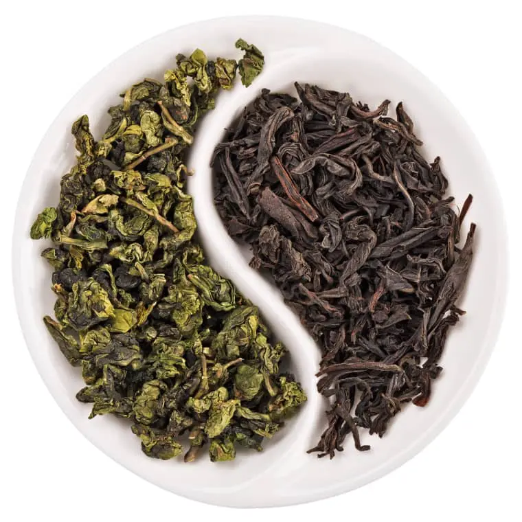 Différences entre thé blanc, thé vert et thé noir