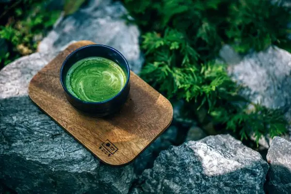 Propriété du thé matcha