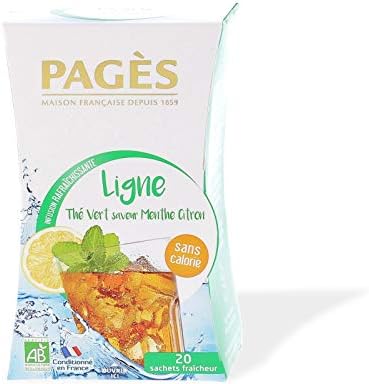 PAGÈS Infusion Glacée BIO Menthe – boite 20 sachets